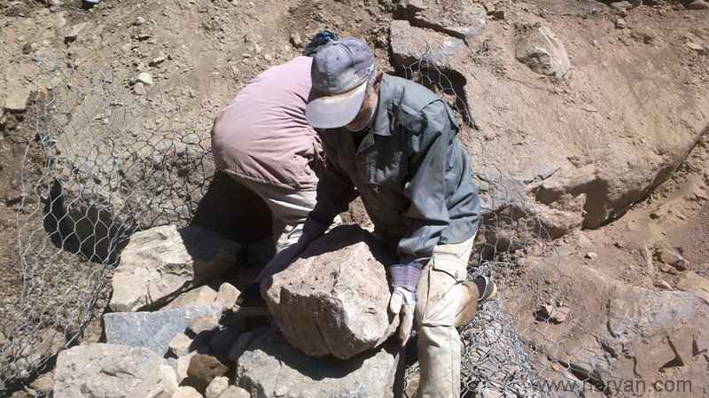 Lolehkeshisioliz_tabestan_1392 (19).jpg